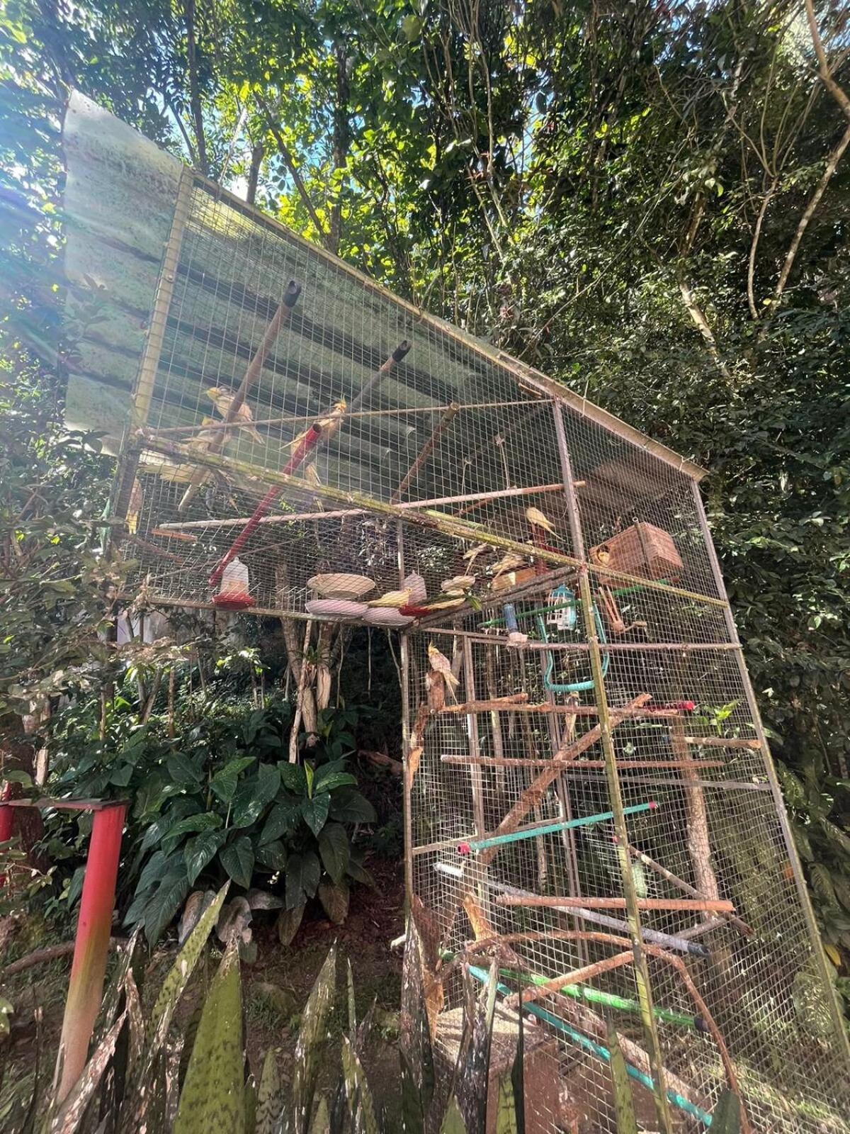 Ape Do Salomao Διαμέρισμα Balneário Camboriú Εξωτερικό φωτογραφία
